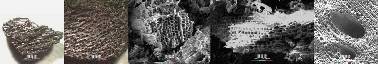DEC.ACA™ • activated carbon • environmental scanning electron microscopy (ESEM) DEC, DEC IMPIANTI, activated carbon, porous structure, pores, adsorption capacity, surface area, BET, micropores, mesopores, macropores, Carbonaceous materials, Activation process, adsorbent, adsorbate, ash content, low-ashes, regeneration, purification, water treatment, air filtration, gas adsorption, chemical adsorption, Environmental remediation, Toxic substances removal, Heavy metal removal, VOCs (Volatile Organic Compounds), SRU, SRU solvent recovery unit, activated carbon filters, desorption, steam regeneration, nitrogen regeneration, in-situ, reactivation, mineral adsorbent, active carbon, active charcoal, carbon filter, air purifier, water filter, odor removal, VOC removal, water treatment, air quality, health, safety